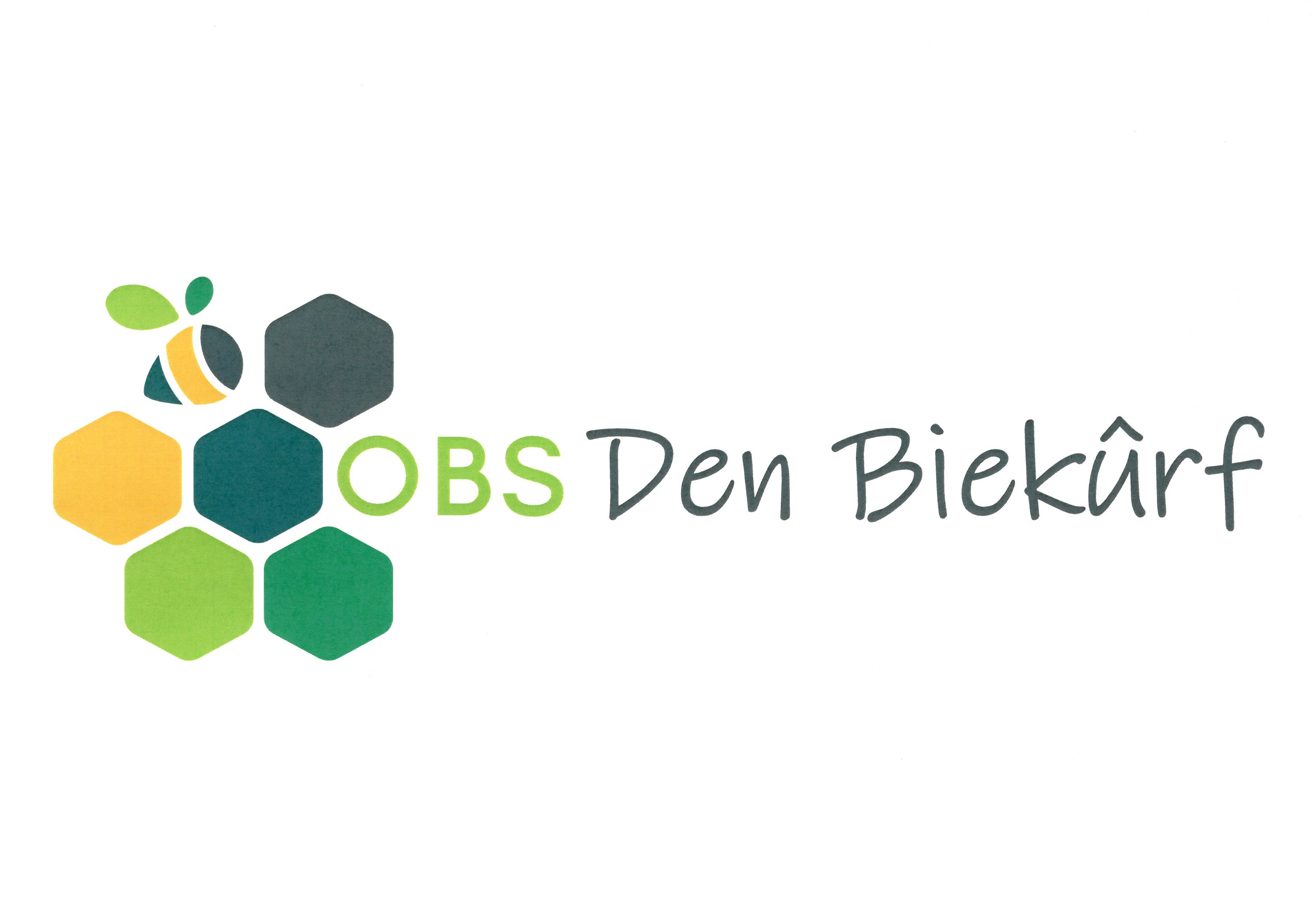 Logo OBS Den Biekurf